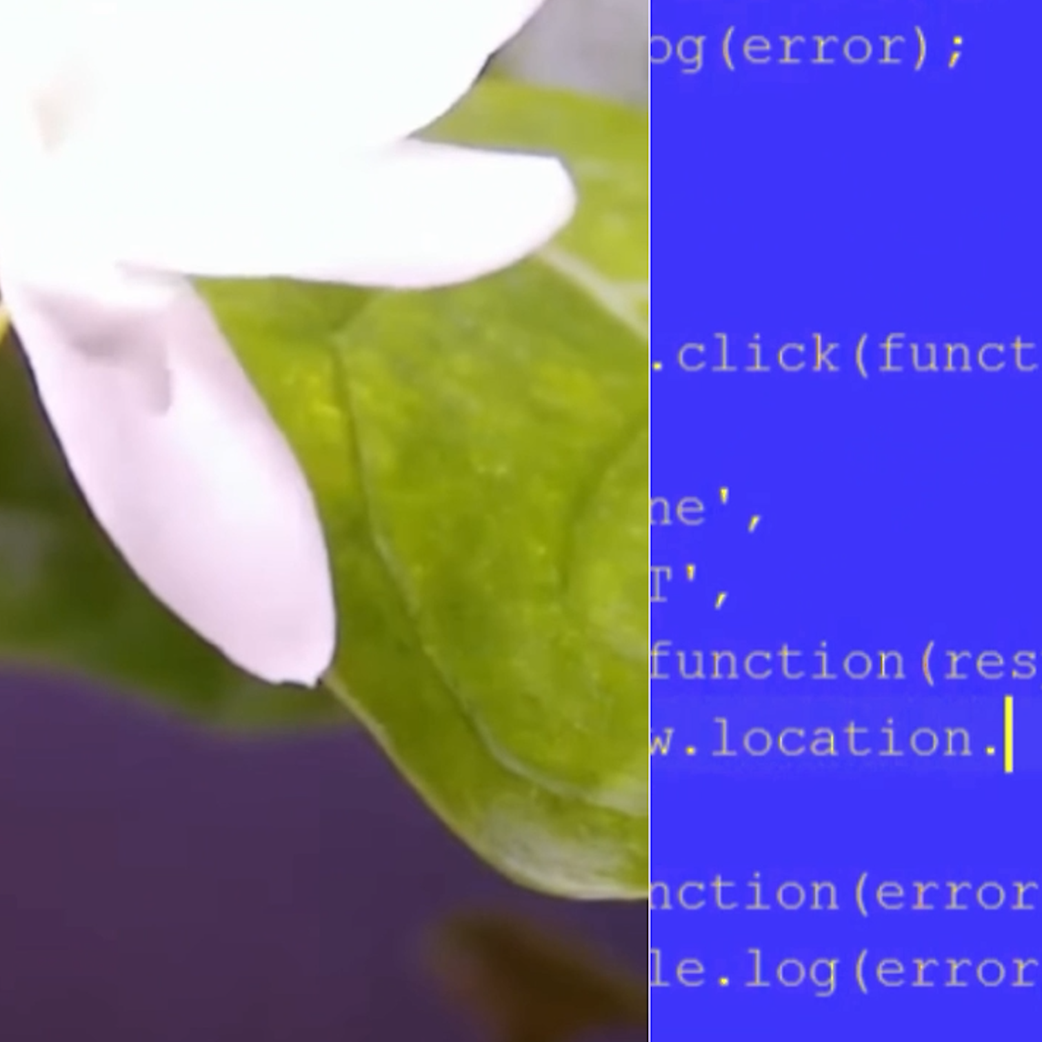 Tracker — Animated Bounding Brackets preview